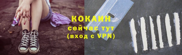 гидра Майский